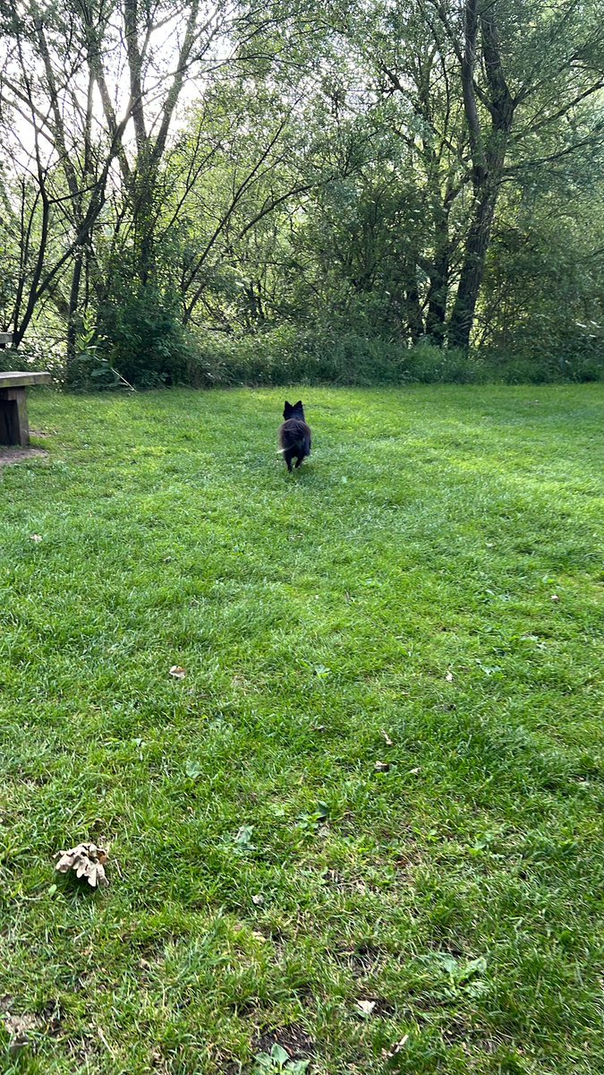 🤡🏃 NIKKI 🏃🤡 tweet media