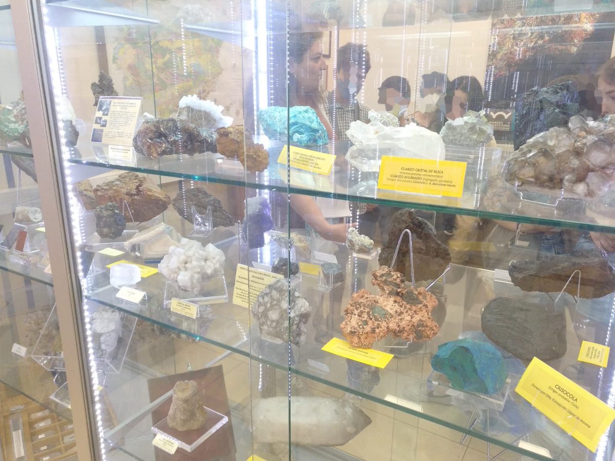 IES Luis García Berlanga (Coslada) tweet media