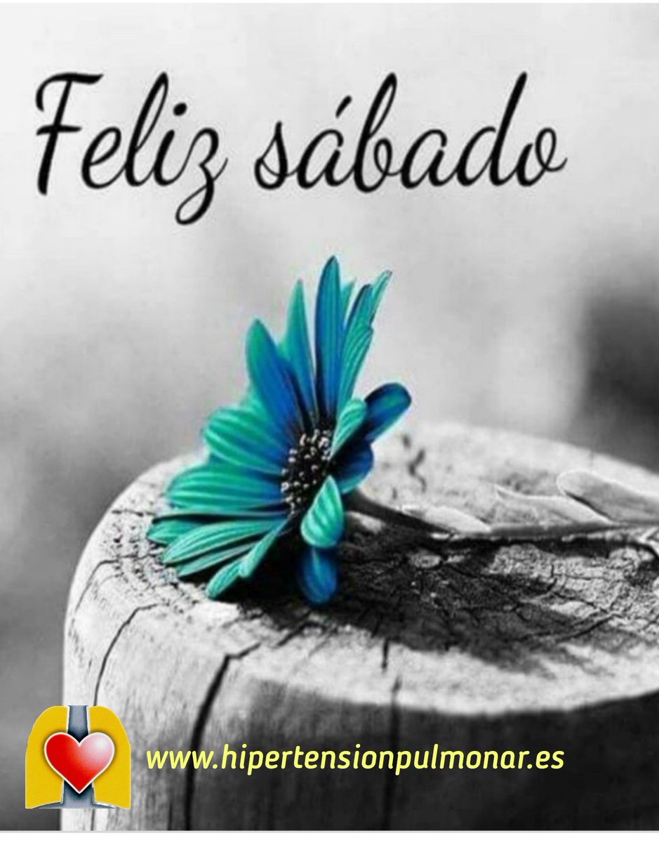 ANdHP's tweet photo. Sábado con s de suerte, de salvaje y de sonriente,
¡a por ello!
#HipertensiónPulmonar #lahpimporta #hpcure #respirar #ilusión #VamosLejos #anuestroritmo #energíapositiva #SomosFuertes #FelizFinDeSemana https://t.co/9SxXo2wLi9