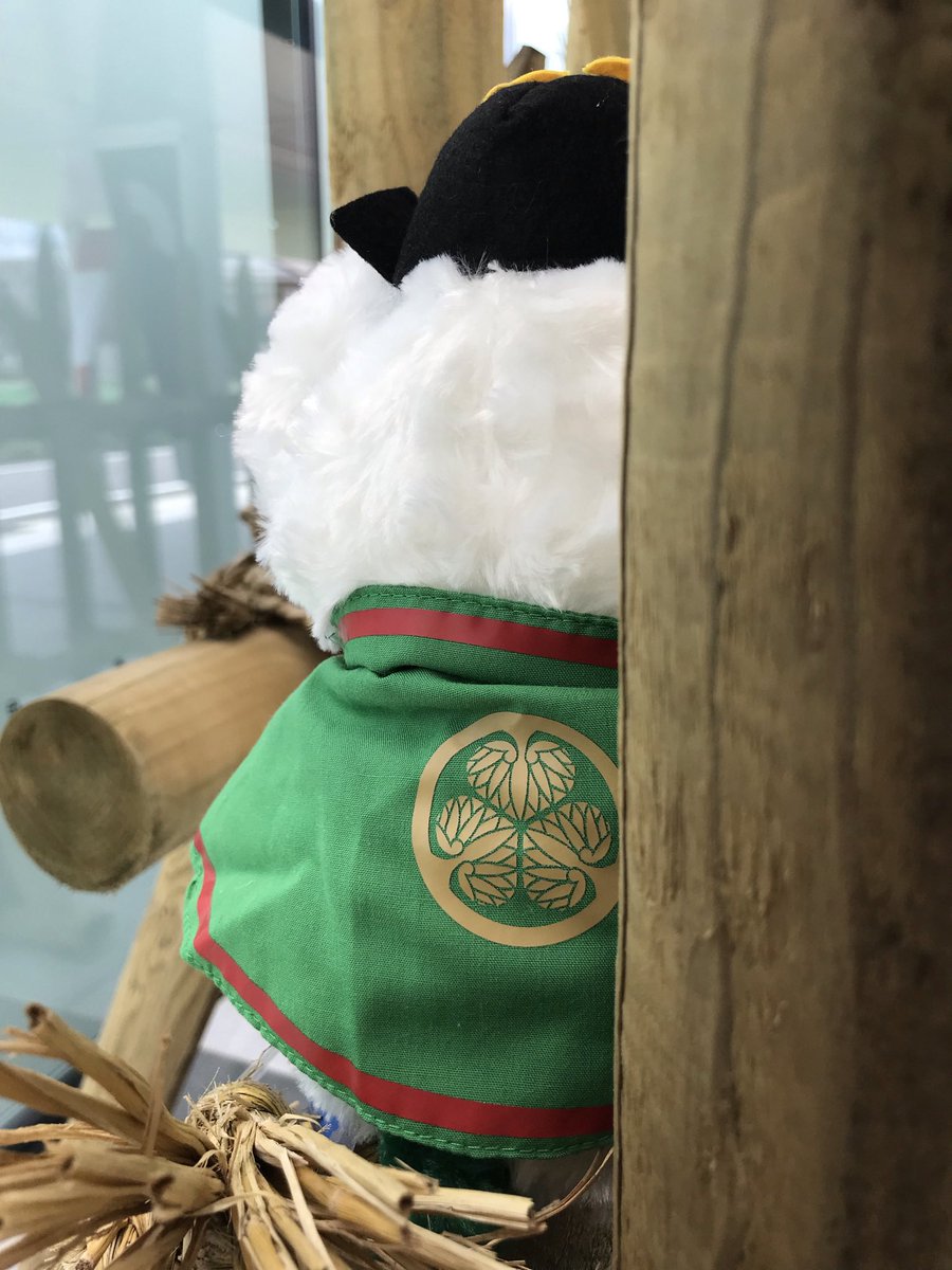 三成ベアに続き 三河のご当地ベア徳川家康も再入荷いたしました。 三成