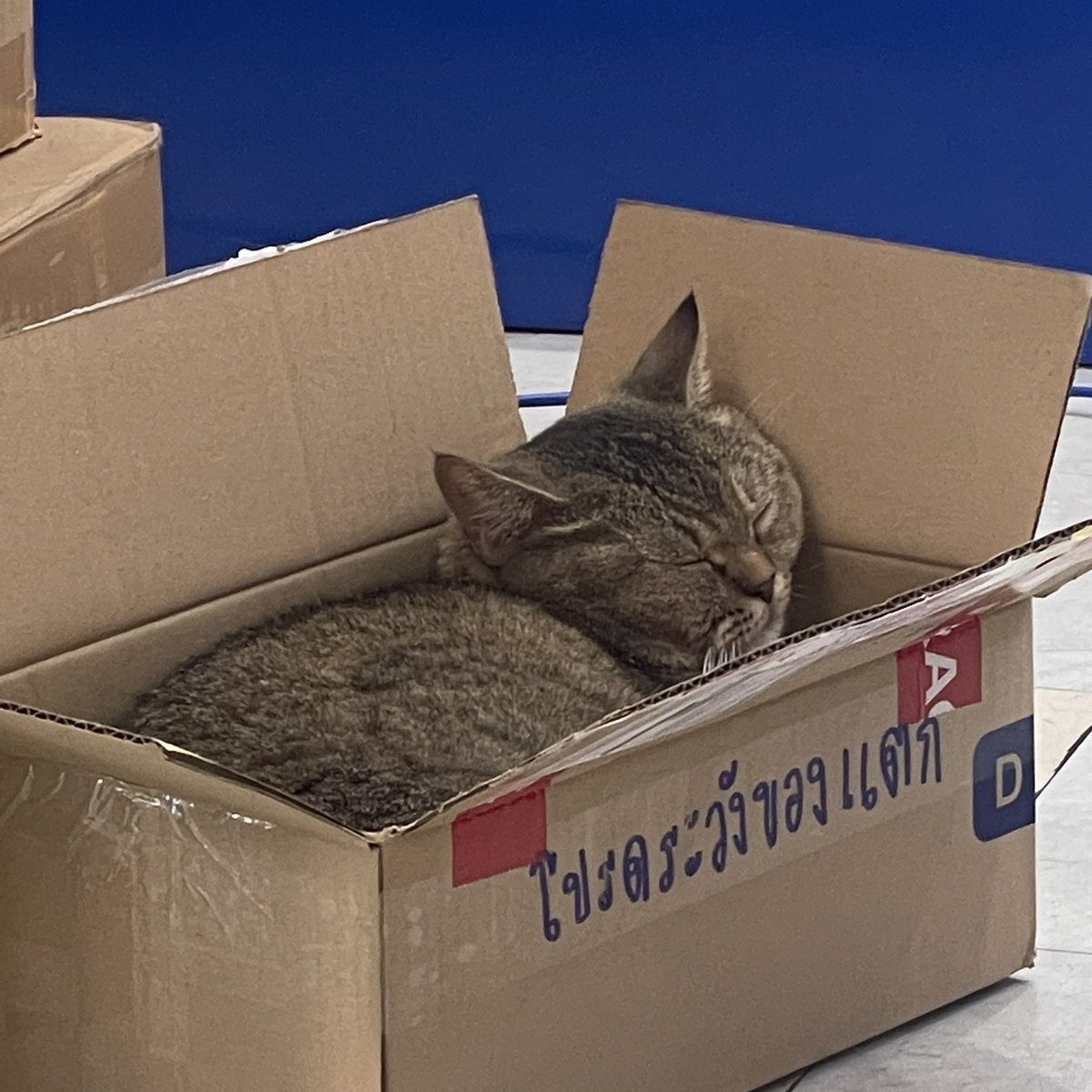 โปรดระวังของแตก