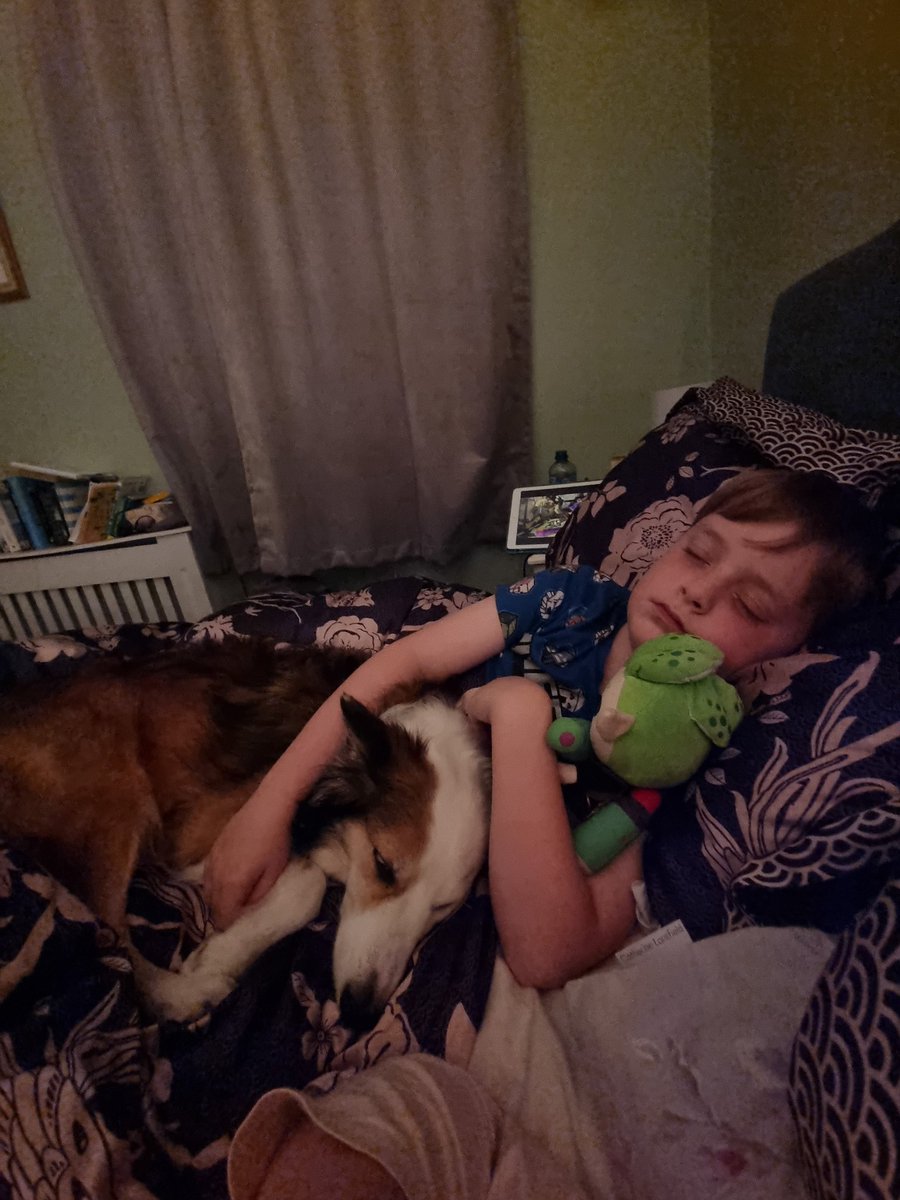 Adonis Flower Designers 🏳️‍🌈💐 tweet media