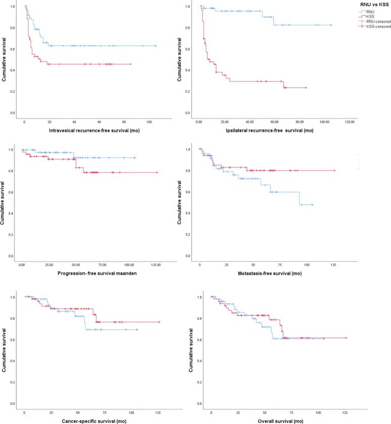 EurUrolOpen's tweet photo. Current Issue: Survival and Long-term Effects of Kidney-sparing Surgery Versus Radical Nephroureterectomy on Kidney Function in Patients with Upper Urinary Tract Urothelial Carcinoma

https://t.co/meEoew50R1

@joyce_baard @urohp @guimaaka 

#urology #openaccess #openscience https://t.co/uXPtmOEWcc