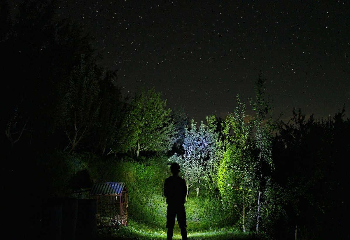 dhandlaik's tweet photo. Standing amidst an apple orchard, gazing up at the brilliance of the night sky. 
.
#NightSky #Apple #HimachalPradesh #PhotoOfTheDay #photo #Photos #kotkhai #Stars https://t.co/ibdJ3x1Y7W