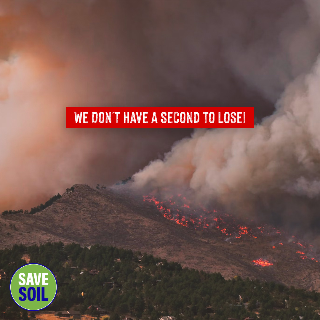 cpsavesoil's tweet photo. We are losing an acre of soil every second, and with that, the building blocks of life on this planet. By 2050, 90% of Earth's soil could be degraded, unless we act now! 
#SaveSoil 
Action Now: https://t.co/z6MmqMf5nE
#ConsciousPlanet https://t.co/0ZuqLZCEIp