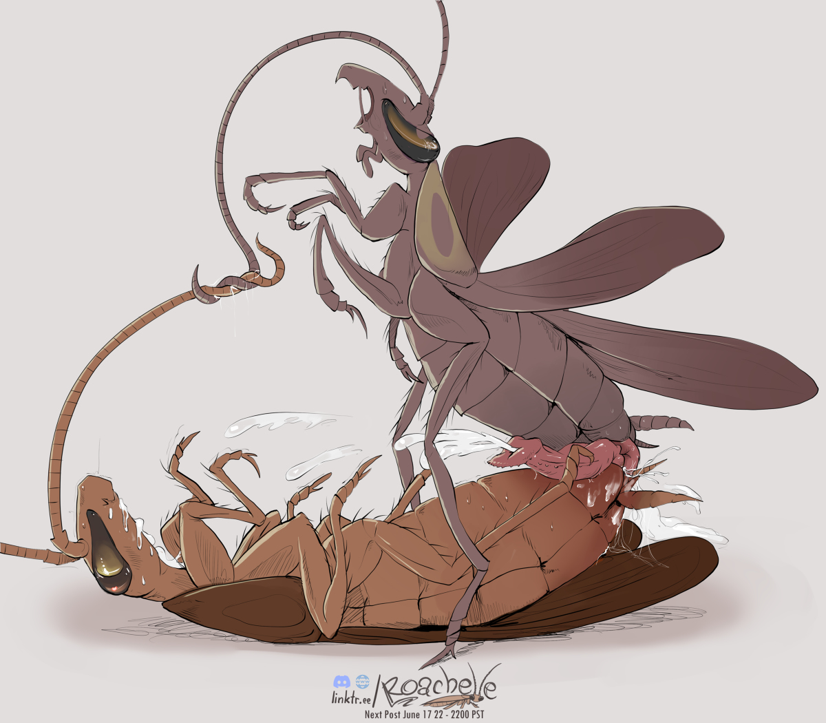 Roachelle13's tweet photo. [R-18] Love Bugs #Insect #feral #cockroach #roach #逆蟲姦 #蟲姦 #刑罰 #ゴキブリ https://t.co/sLrQ3Mcnsq https://t.co/4gKnm6uoMN