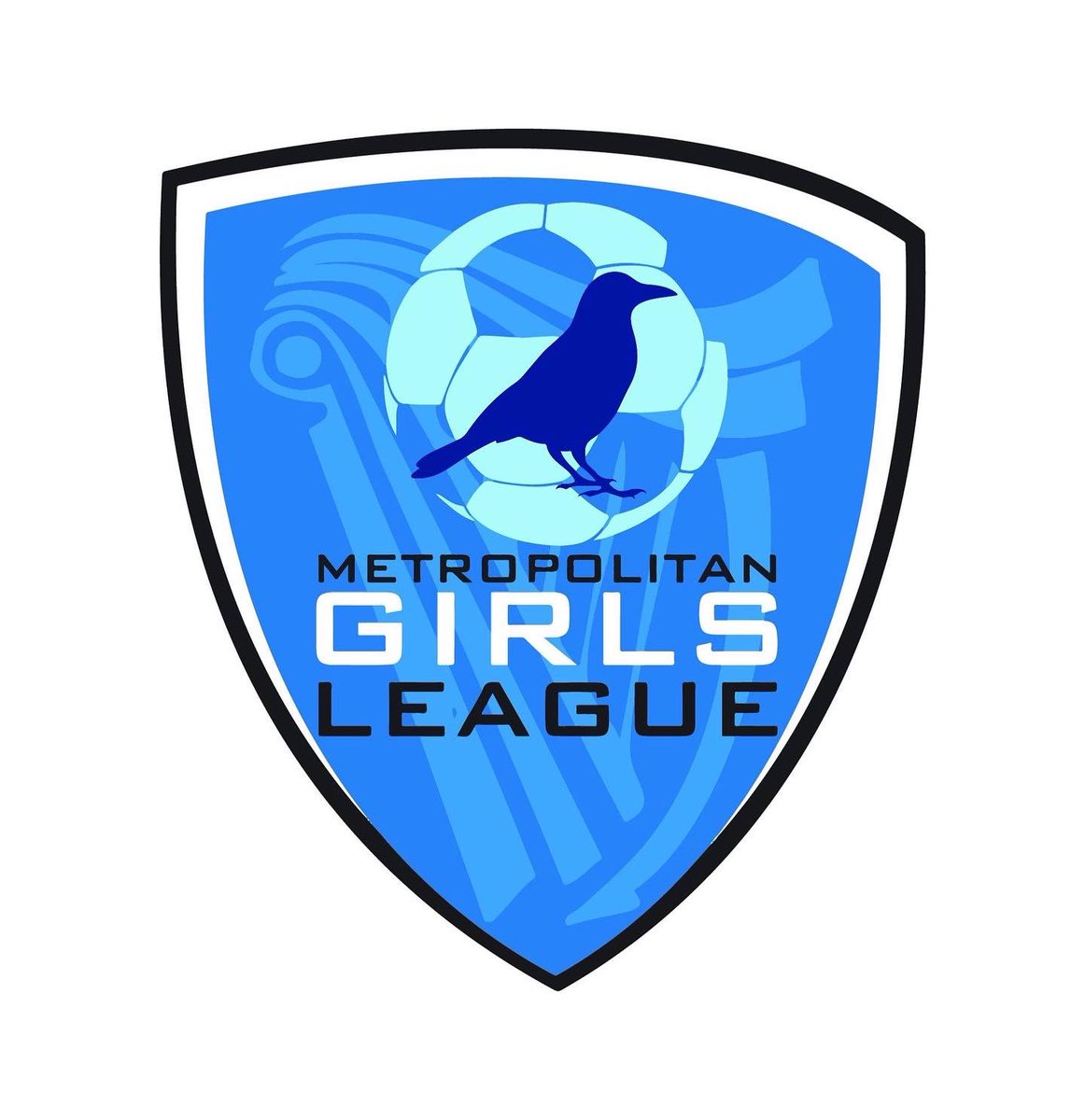 This is what football should be about. The MGL Squad who were beaten in Qtrs, celebrating with the MGL Squad who beat them, when they won their Semi hours later. Would expect nothing more from these players, a credit to the academy and Irish Football @JonathanFAI <a href="/GerMcDermott/">Ger McDermott</a>