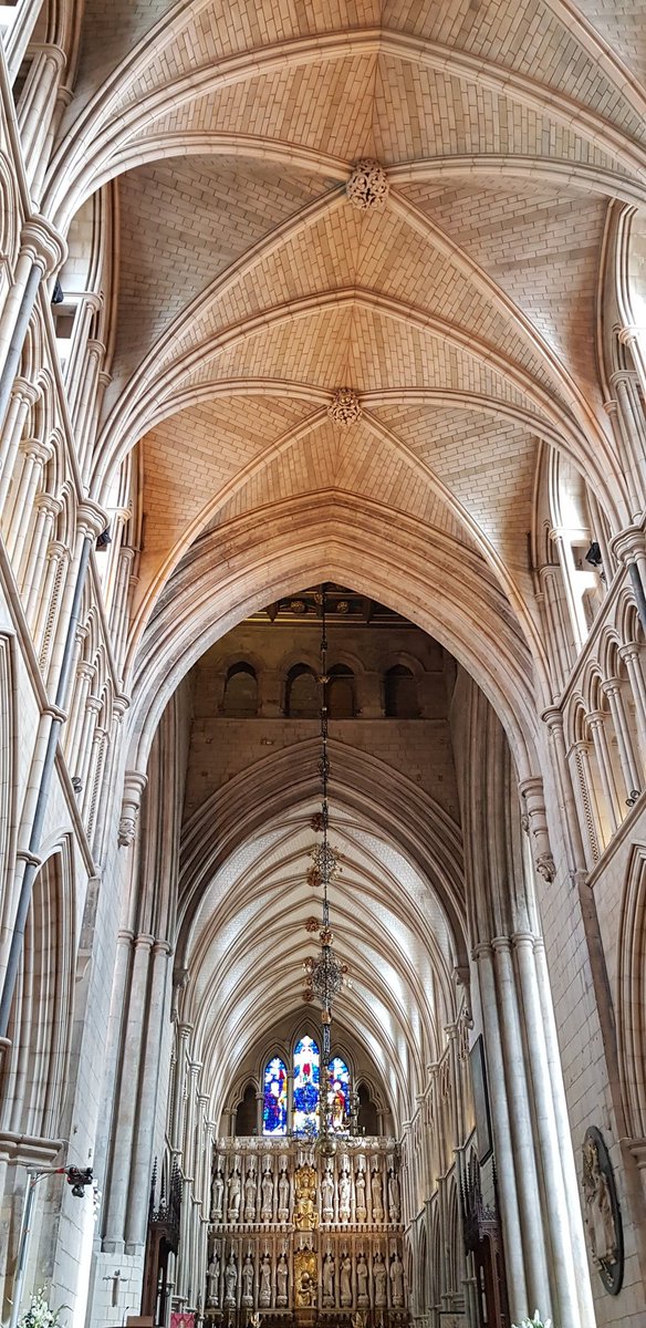 Annette Powell tweet media