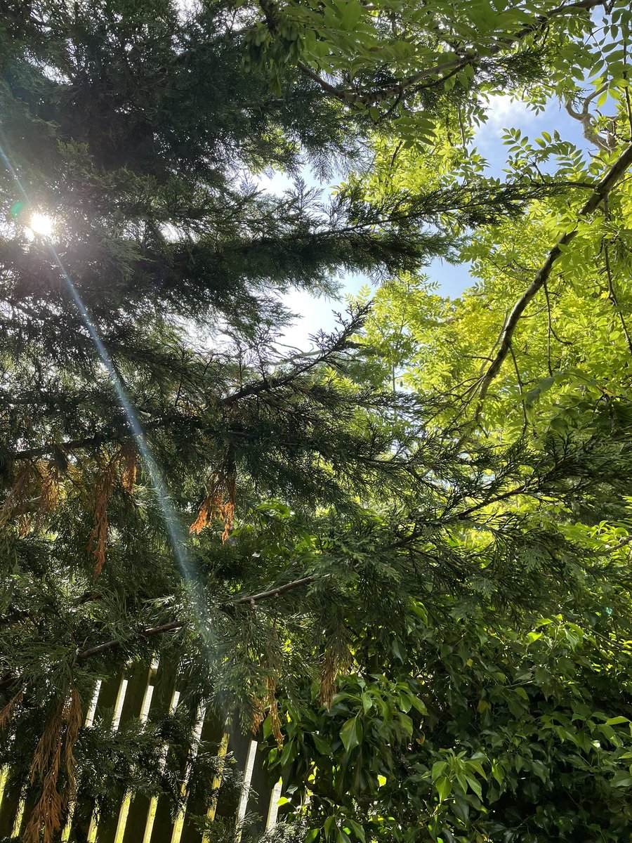 Joe Clarke tweet media