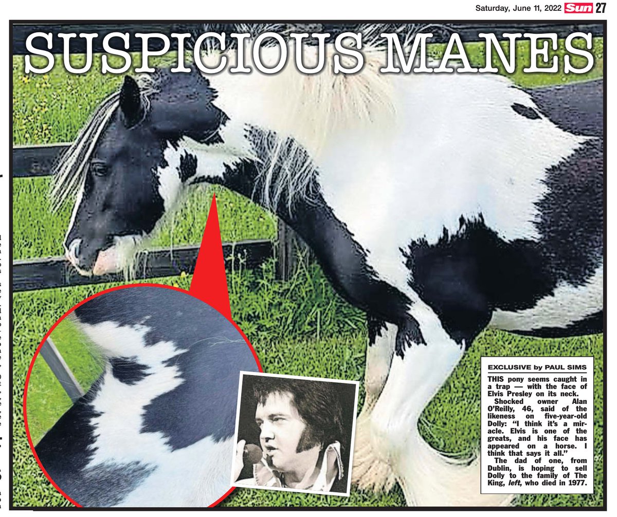 EXCLUSIVE in @TheSun - A horse breeder was left all shook up - when he spotted Elvis Presley's FACE on his pony's neck 🐴 🖋️ @KatePounds 📷 Alan O'Reilly / @SWNS