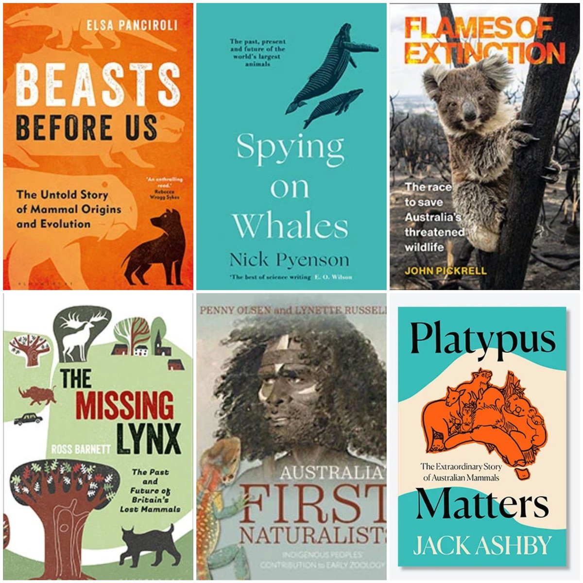 Jack Ashby tweet media