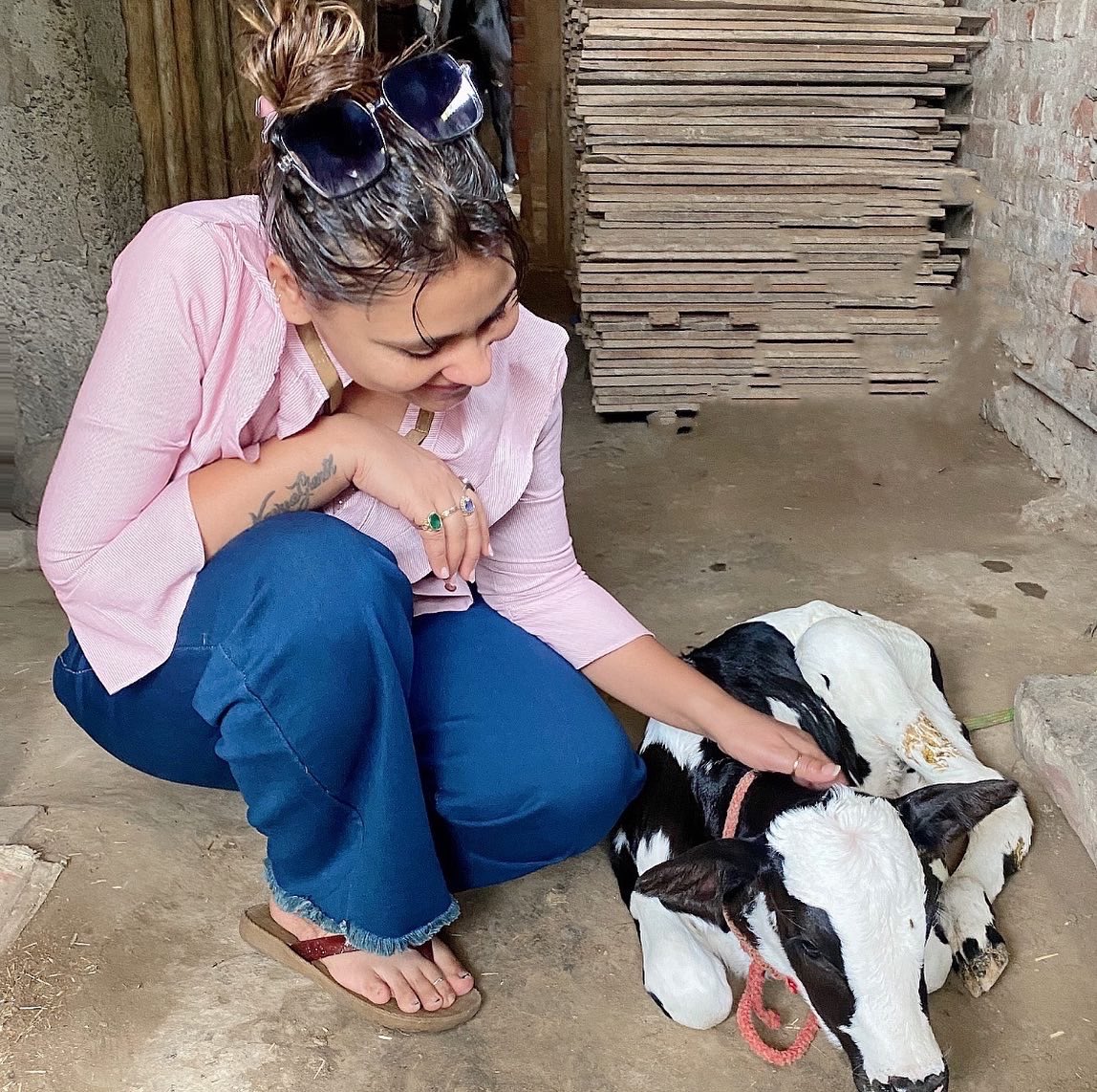 Anamika Jain Amber tweet media