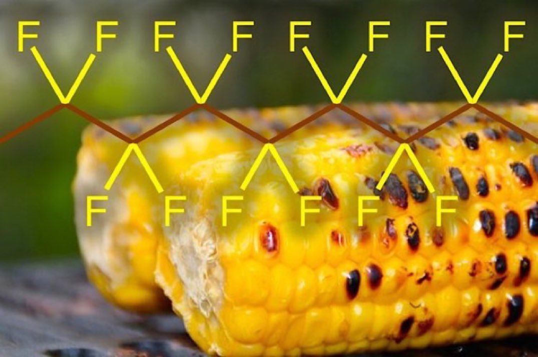 eedcAndy's tweet photo. Earn your corn on #CornOnTheCobDay! With the prospect of kernels getting stuck in your teeth, it is wise to have floss to hand. Dental floss is made of nylon or PTFE (Teflon); PTFE is popular as it doesn’t shred &amp; is easier to glide between teeth #likepullingteeth #RealTimeChem https://t.co/XO7Aw6NJgm