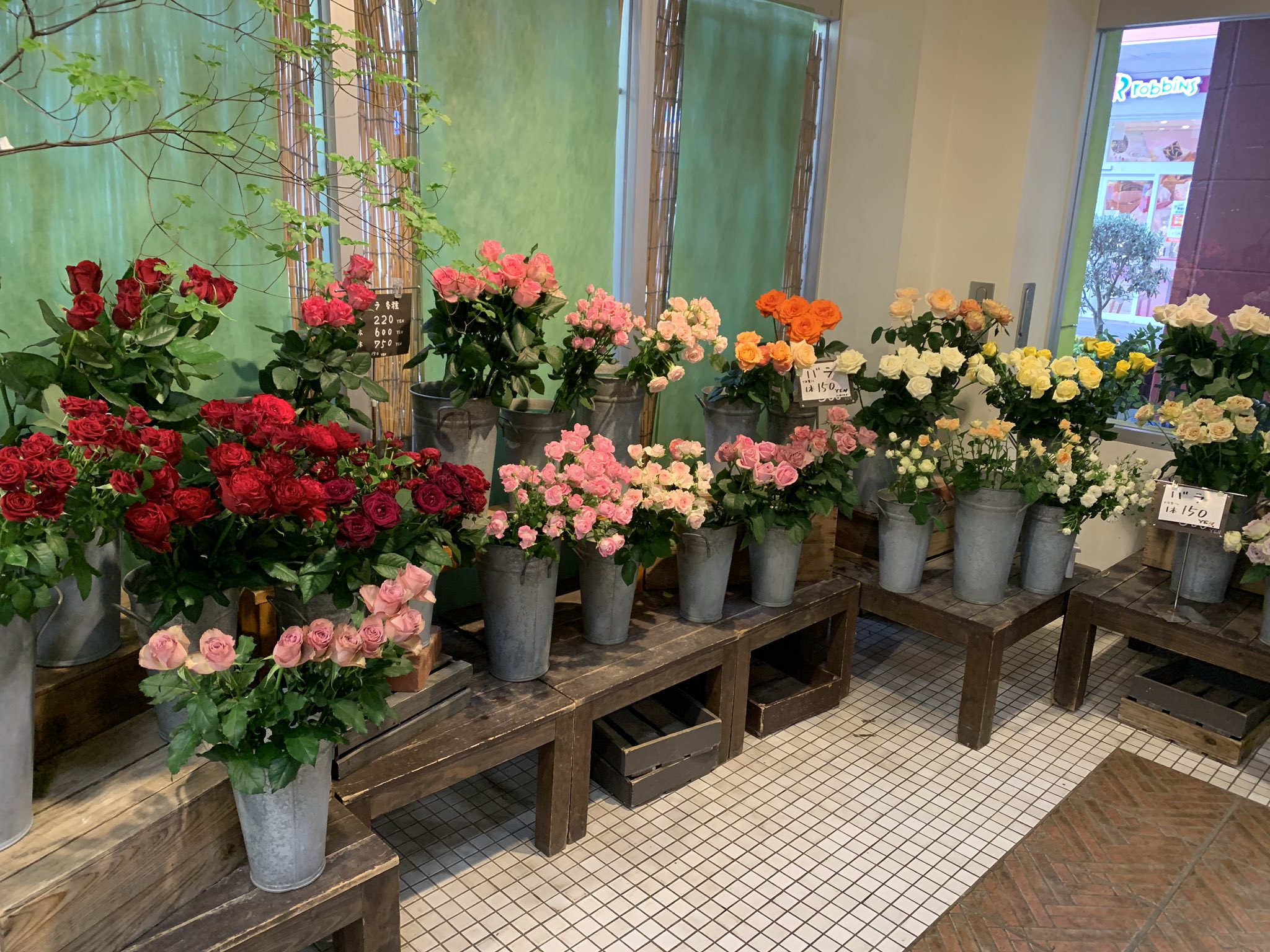 ファン大宮宮原店 花屋 バラがお安いので今のうちに是非 5本買うと1本が150円になります 花のある暮らし バラ 薔薇 埼玉 花屋 T Co Qkkgbtlu8b Twitter
