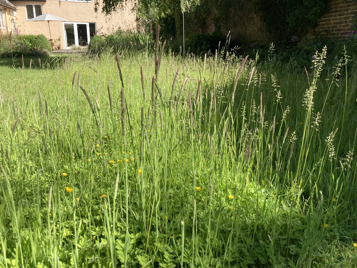 Celia Hart tweet media