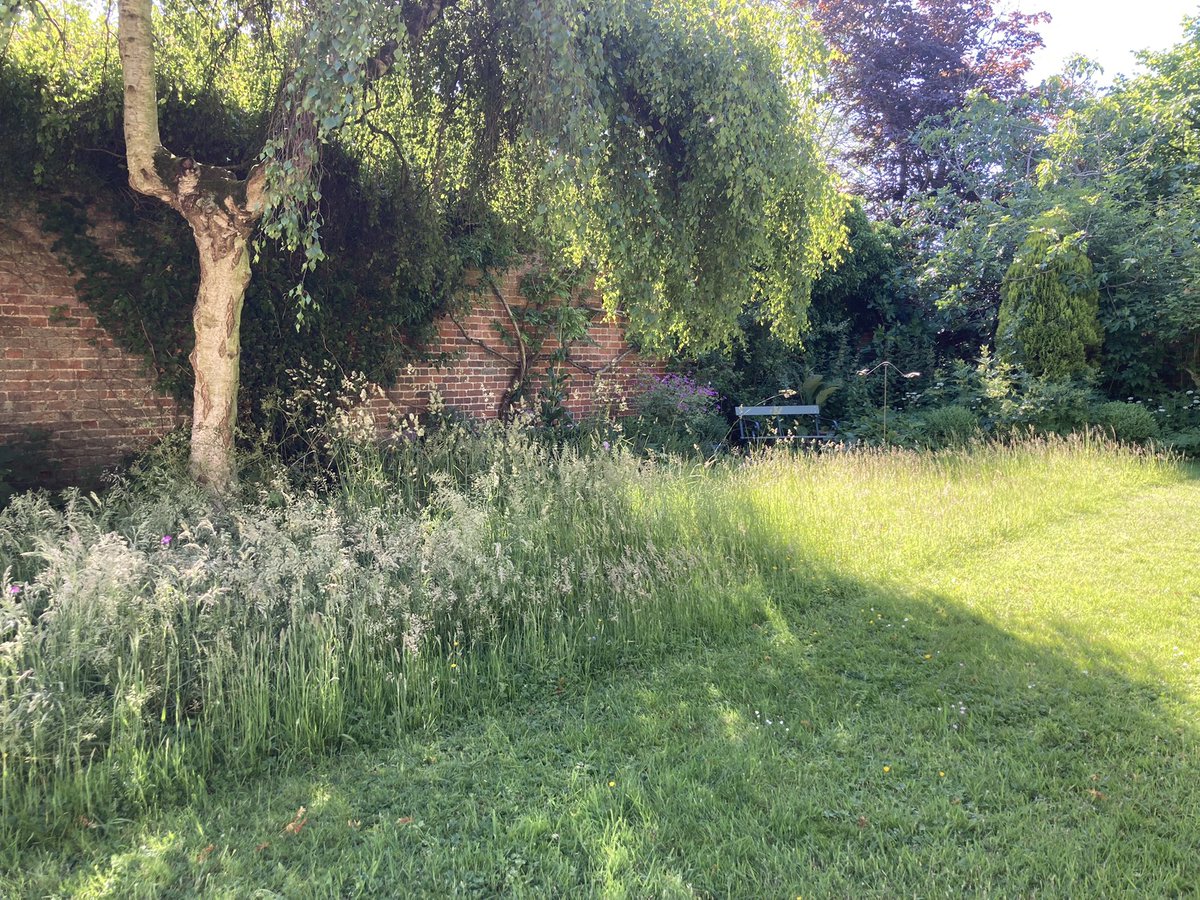 Celia Hart tweet media