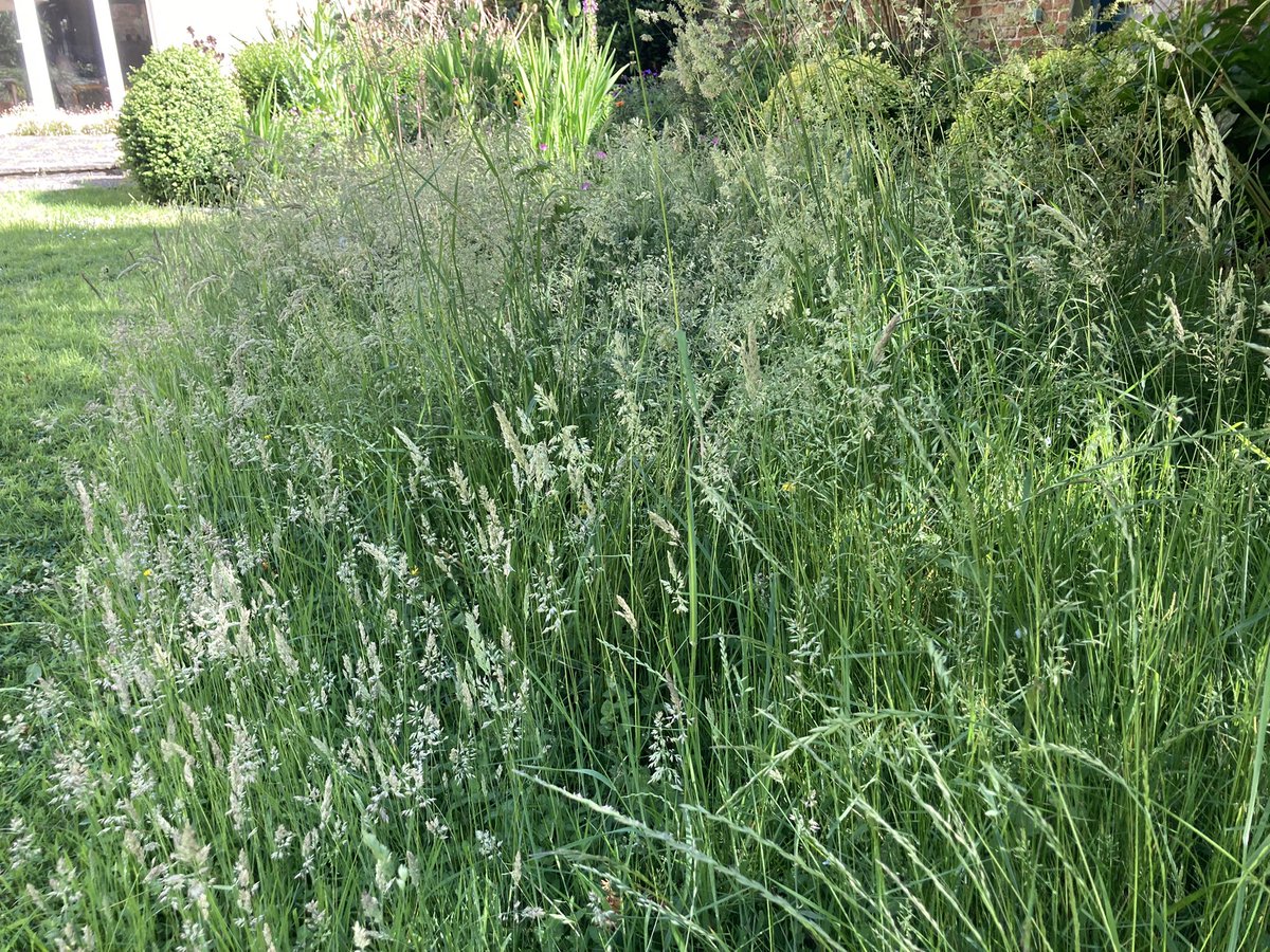 Celia Hart tweet media