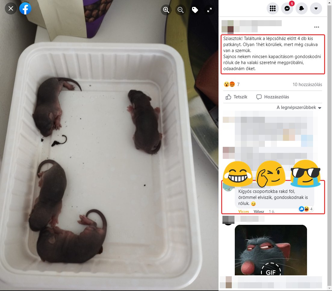 Mozgolódnak a kártevők, itt az ideje a lemosó permetezésnek!