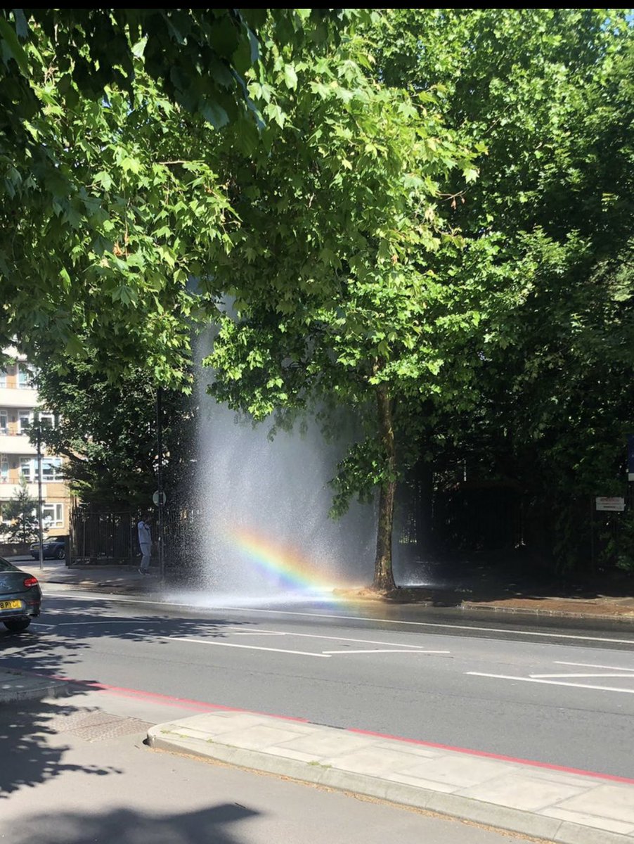 Joanna Hardy-Susskind tweet media