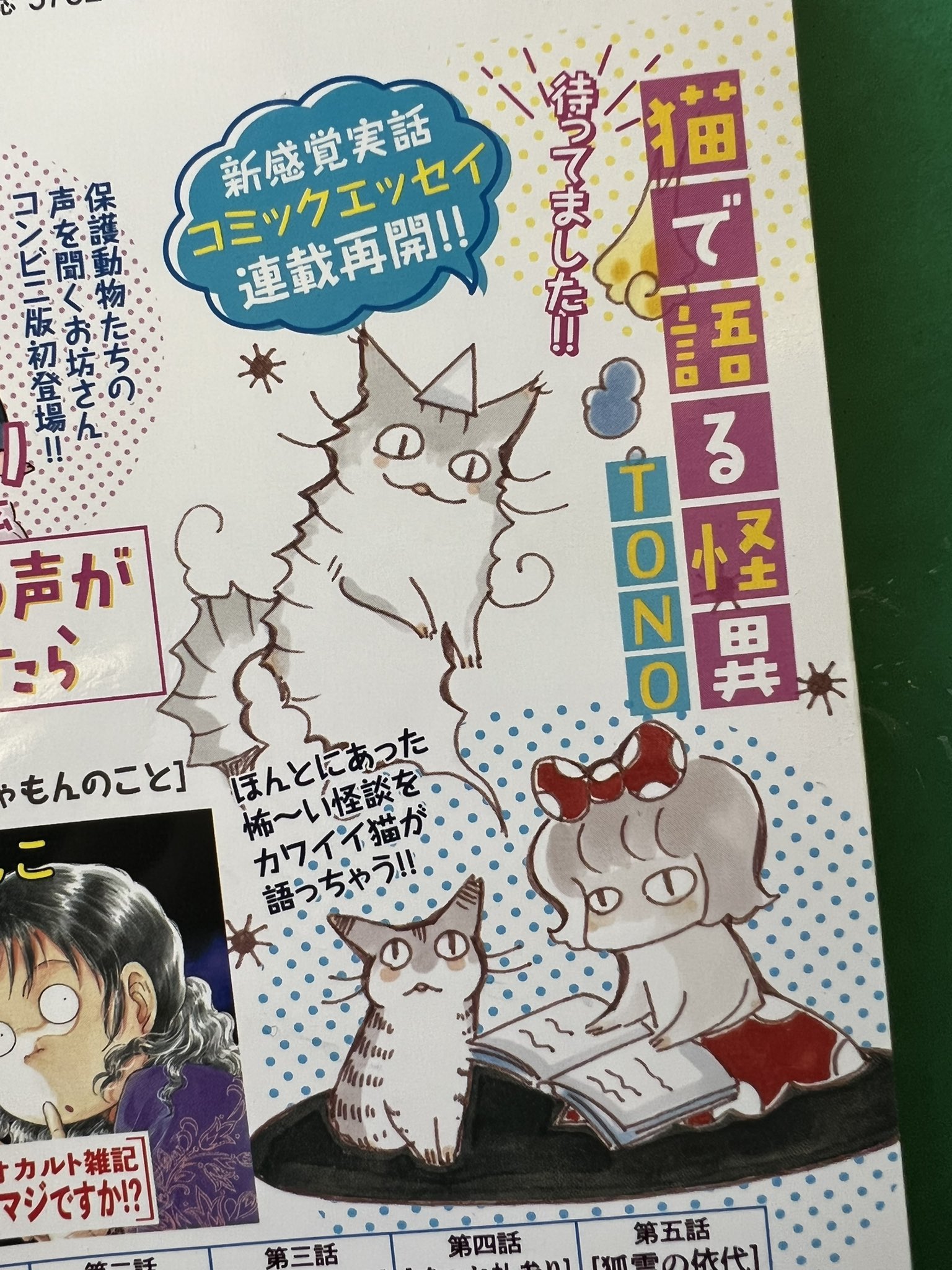 波津彬子 Tono先生の 猫で語る怪異 連載再開ですってよ 奥様 わーい ˆoˆ コンビニ版のhonkowaだよ 今日コンビニ行ってよかった T Co 1hnik2cbby Twitter