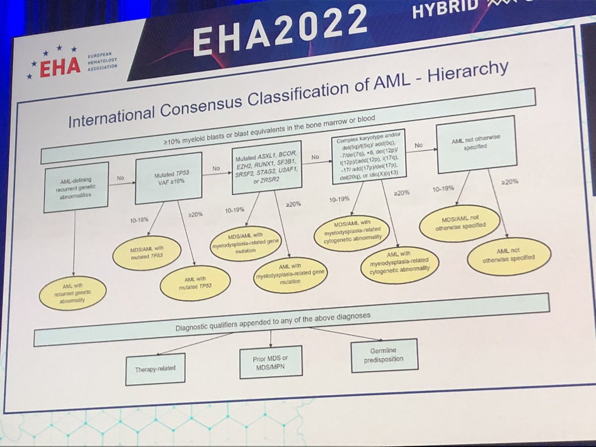 nick6886's tweet photo. AML ELN 2022 #EHA2022 https://t.co/tHOCOEMGJh