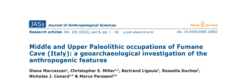 Diana Marcazzan tweet media