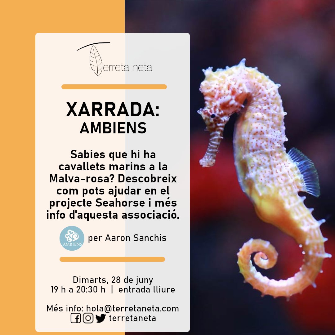 terretaneta's tweet photo. Sabies que hi ha cavallets marins a la platja de la Malva-Rosa?? 🏖️ Vols ajudar a la seua conservació?

Doncs vine a la xarrada que anem a fer amb l'Associació #Ambiens i coneix la seua tasca i el #Seahorseproject 🌊

#València #Malvarrosa #biodiversidad #Benimaclet #terretaneta https://t.co/OrdNFTcMEw