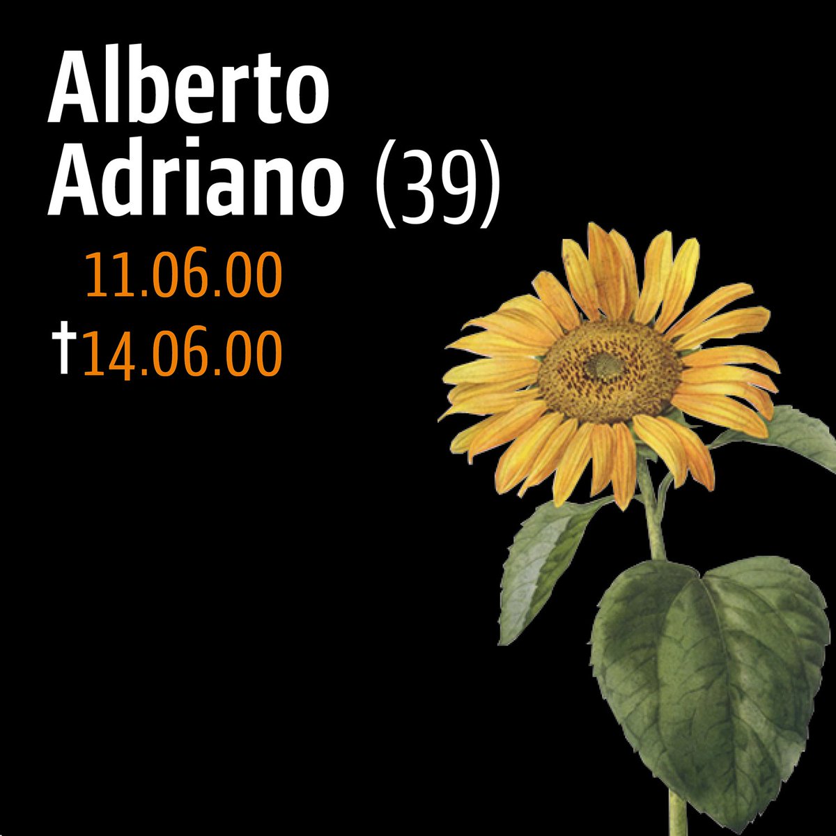opferberatung's tweet photo. Wir erinnern an Alberto Adriano, der am 11.06.00 gegen 1:30 Uhr nachts am Dessauer Stadtpark von 3 Neonazis angegriffen und mit unsagbarer Brutalität zu Tode gequält wurde.
https://t.co/IsJ7MoBLSU

#Gedenken #SayTheirNames #KeinVergessen #Dessau https://t.co/Xe1REWzXJ1