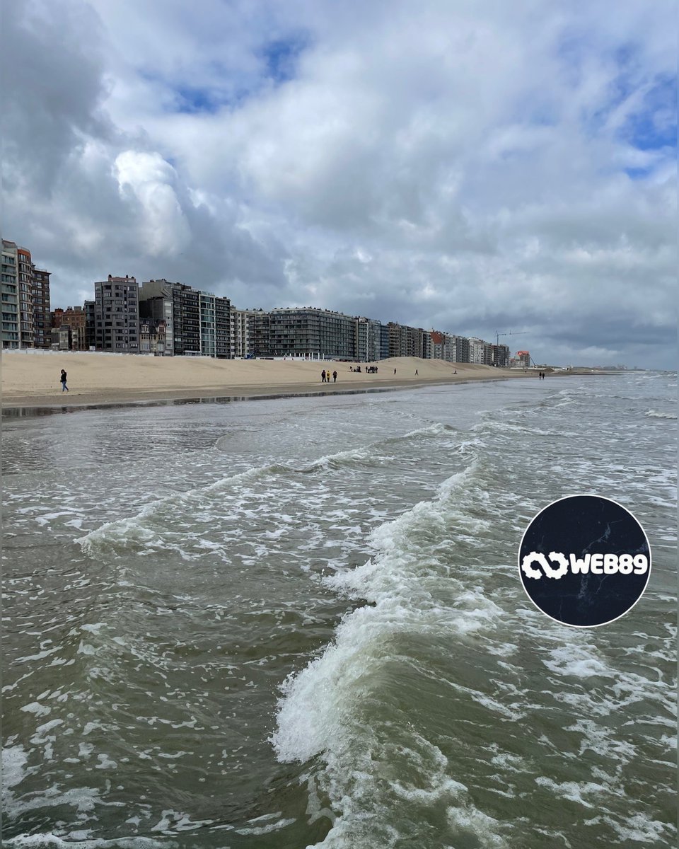 web89_be's tweet photo. #web89 #agenceweb #team #webdev https://t.co/jon854PbQL