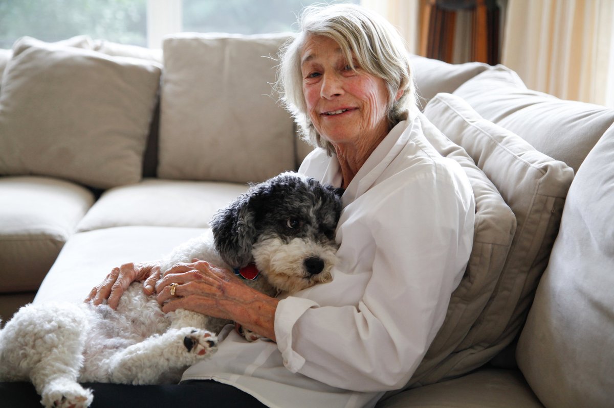 soniabhatnaga's tweet photo. “A dog can never tell you what she knows from the
smells of the world, but you know, watching her,
that you know almost nothing.” Mary Oliver, Dog Songs #onetruesentence https://t.co/GpQf5ZVweM