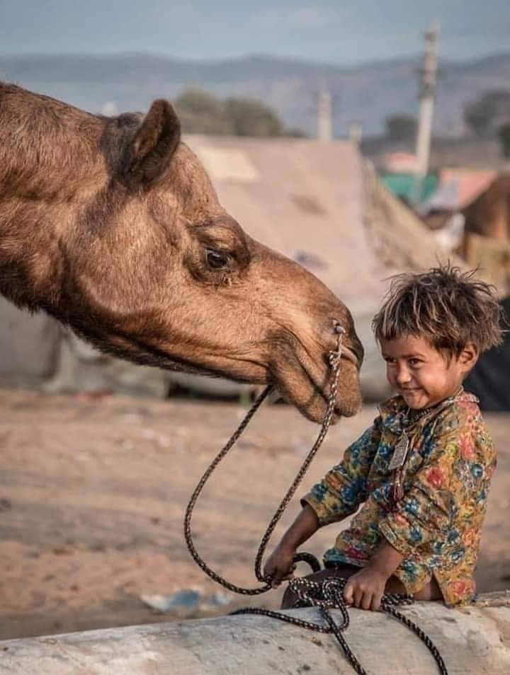 قید مسلک کی نہیں، شرط عقیدے کی نہیں
 جانے کس وقت وہ کس دل میں محبت رکھ دے..!