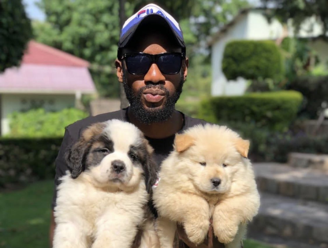 MoneyHasbulla's tweet photo. Meet Brice….one of the best dog breeders and importers  in the game🇿🇲. From Huskies to American Bullies, Pitbulls, Chow Chows, Labradors, German Shepherds, Golden Retrievers, Exotic Cats and more! https://t.co/Op5GvbrfSI