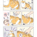 誤って抜けない毛を･･･!換毛期に入った愛犬とのあるエピソードを描いた漫画が話題に!