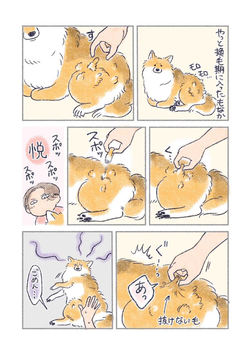 誤って抜けない毛を･･･！換毛期に入った愛犬とのあるエピソードを描いた漫画が話題に！