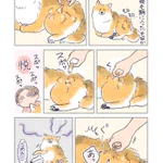 誤って抜けない毛を･･･!換毛期に入った愛犬とのあるエピソードを描いた漫画が話題に!