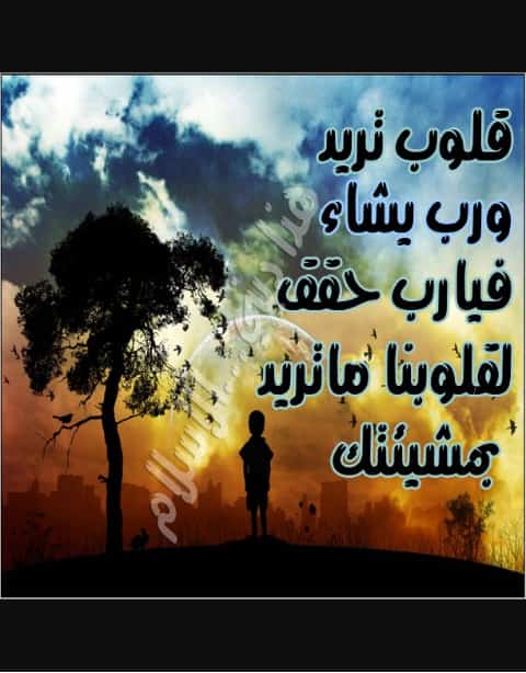 عبودمكه (@aboomaram1234) on Twitter photo 