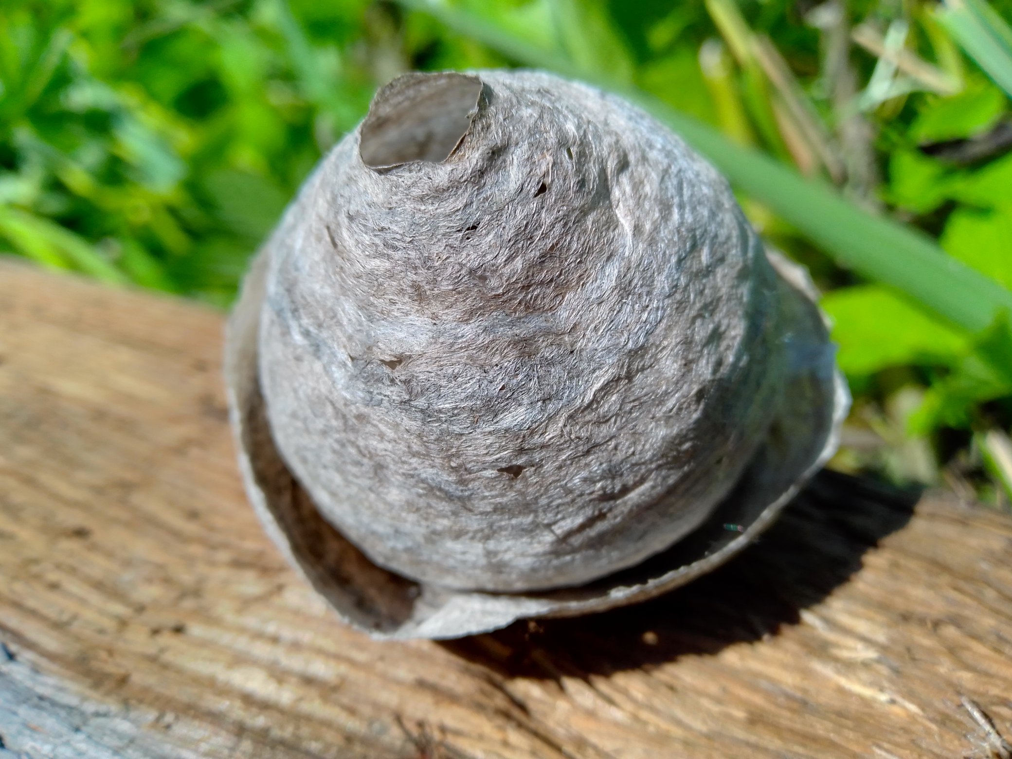 Farnham the Drunk on Twitter "Gribanov Перефразируя классику