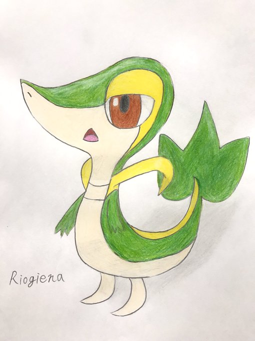 ツタージャ姐さんのtwitterイラスト検索結果 ツタージャ姐さんのtwitterイラスト検索結果