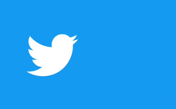 LilPinkPuffball's tweet photo. …bird?? whuh where am i https://t.co/cT3rBMcdNR