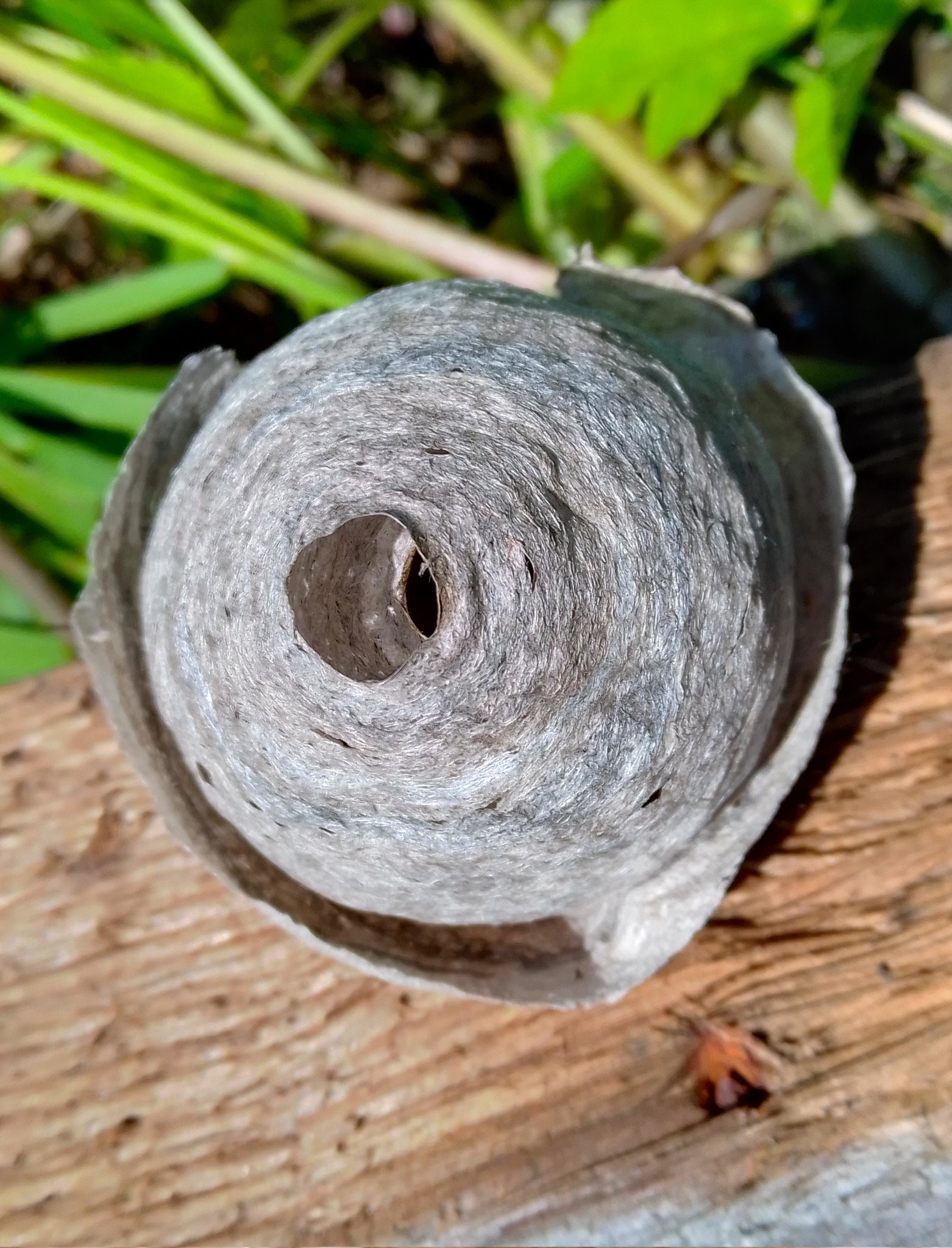 Farnham the Drunk on Twitter "Gribanov Перефразируя классику