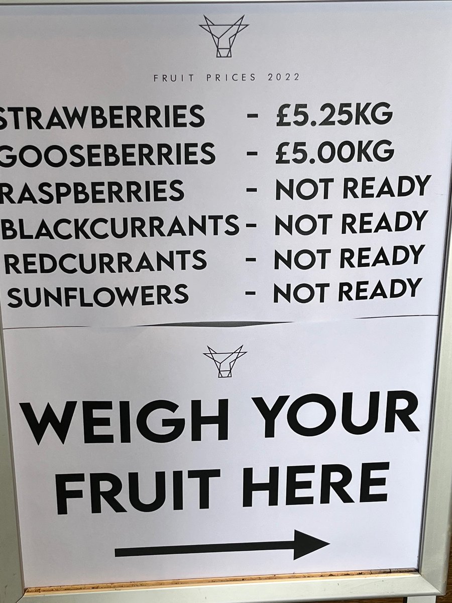 Fun House Bouncy Castles tweet media