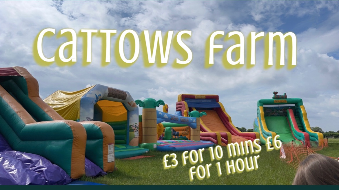 Fun House Bouncy Castles tweet media