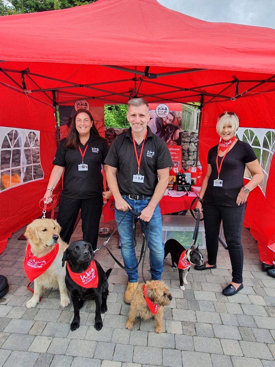 wag_company's tweet photo. Today’s Open Day at Wear Referrals has started, here’s #TeamWag suited and booted and ready to go..❤️🐶❤️ #wagfamily #proud #corporatefriends https://t.co/g6qQK5OFHo