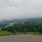 たつのツイート画像