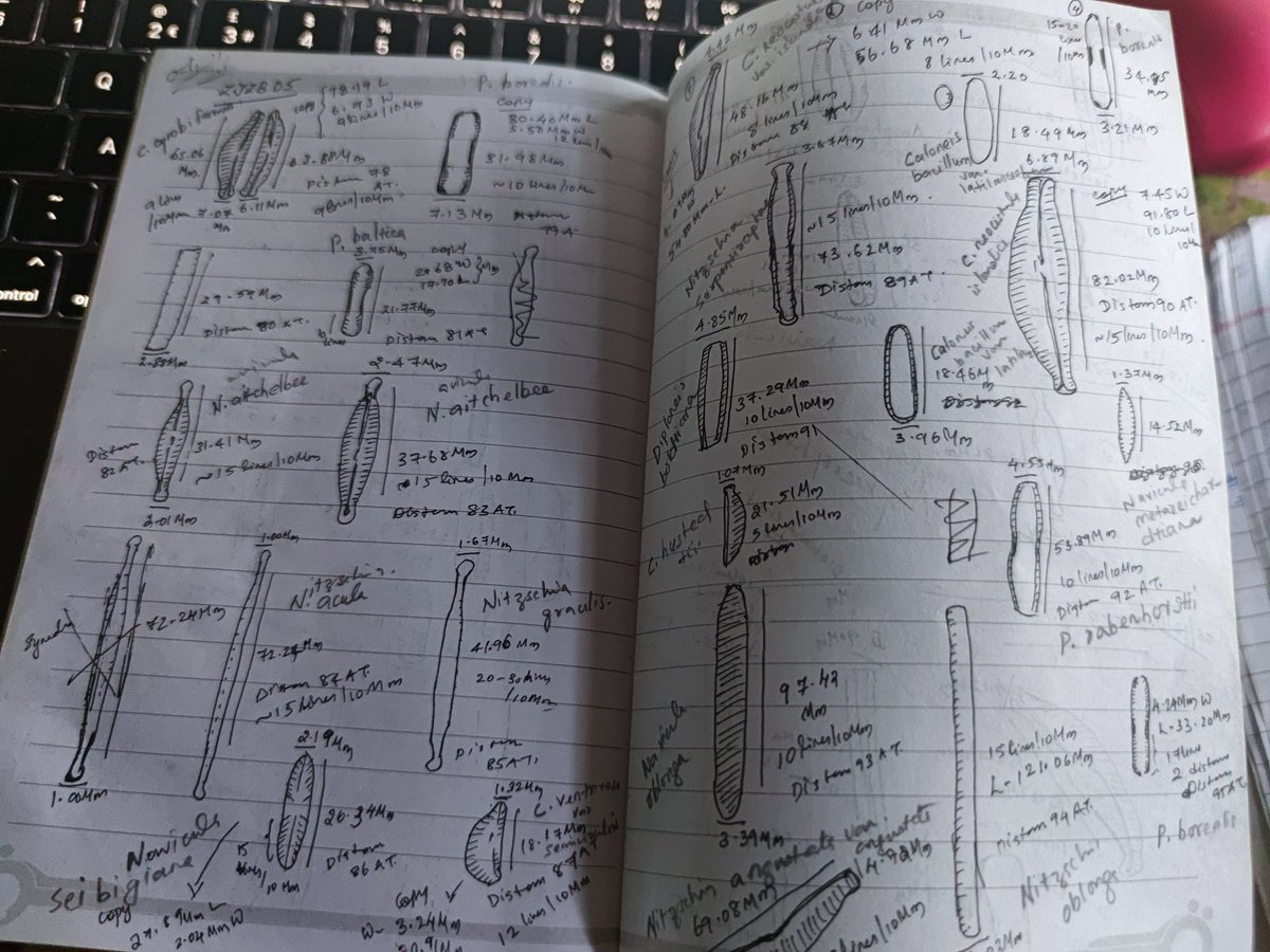 AnilaAjayan's tweet photo. Happened to find my old lab book today.That was an unpaid work for another lab&was not included as a co-author even. Anyhow,quite enjoyed watching them through🔬 as I spend 3 months lockdown time alone in that lab with these #diatoms #labmemories
#AcademicChatter #PhycologyFriday https://t.co/kkw8Skhoc9