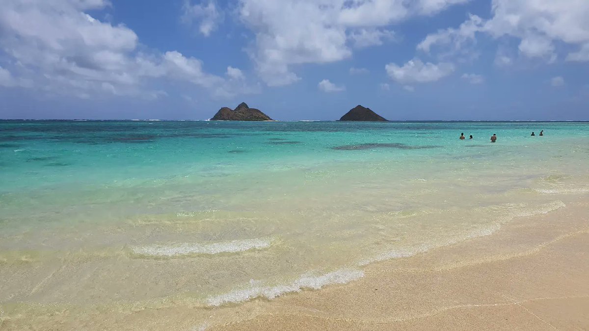 VirtualGlobeT's tweet photo. Hawaii's Lanikai Beach : One of the World's Most Beautiful Beaches  각종 매체 선정 세계 Top 비치 라니카이 비치

https://t.co/Jvd1HZXsYh

#hawaii,#lanikai,#beach,#best,#states,#list,#top,#world,#walk,#honolulu

#하와이,#라니카이,#비치,#해변,#걷기,#최고, #세계, #산책, #매체, #미국 https://t.co/doLt88MJh9