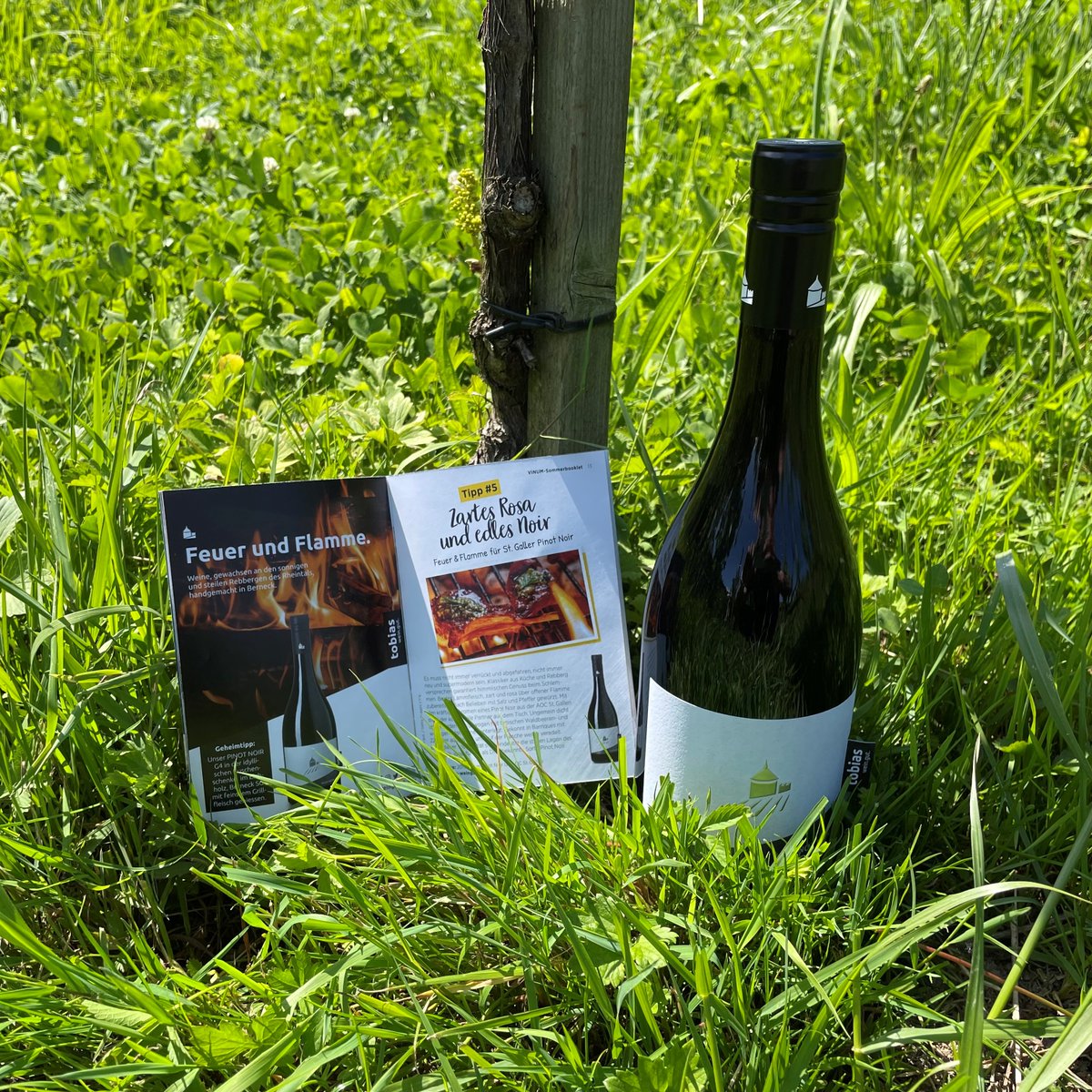 Feuer &amp; Flamme 🔥

Das Vinum-Magazin empfiehlt als Foodpairing-Tipp #5 Lammfleisch über dem Feuer und den tobias PINOT NOIR G4.
Geniessen Sie diese Kombination zB. in der Buschenschenke - Klumpentorkel, im Eichholz in Berneck.

Gesamter Beitrag: vinum.eu/de/essen-trink…