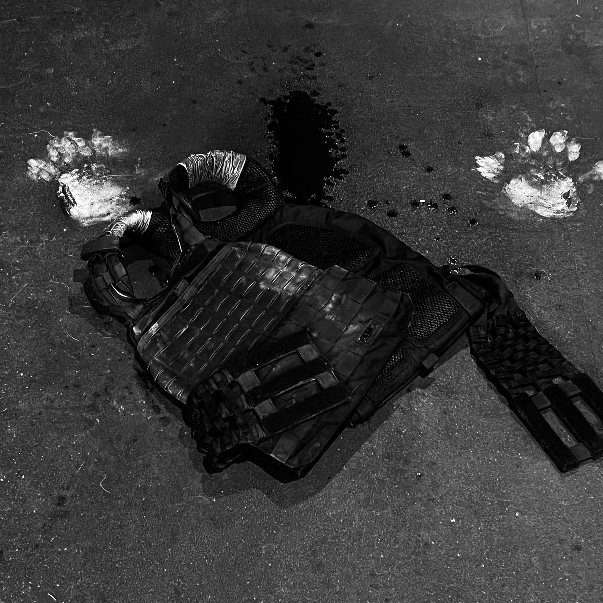 Aftermath. MURPH. 
Live to Honor Them.