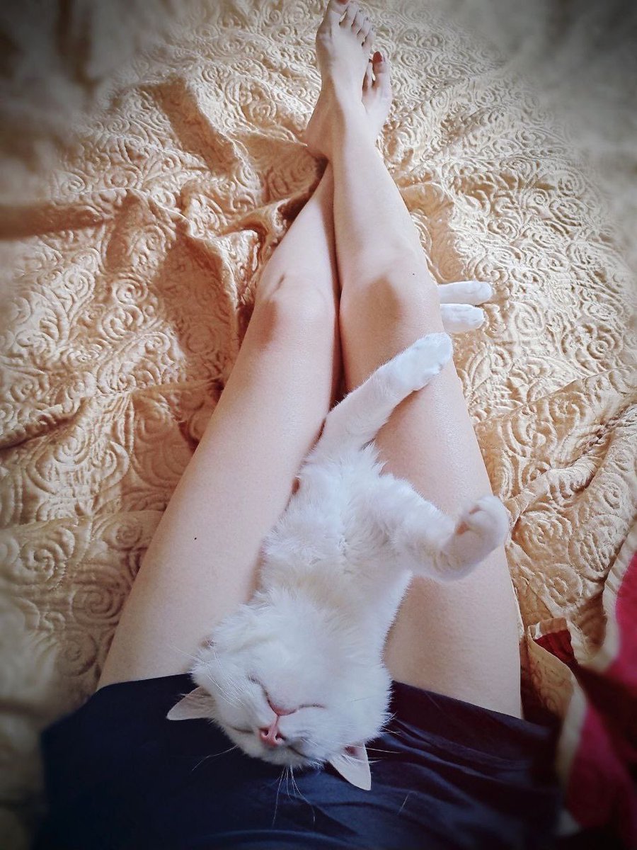 gons55755547's tweet photo. 你再优秀，也总有人对你不堪。你再不堪，也有人认为是限量版的唯一。生命的价值在于自己看得起自已，人生的意义在于努力进取。早安！#夜深了我却无心睡眠 https://t.co/rRP72YxCP7