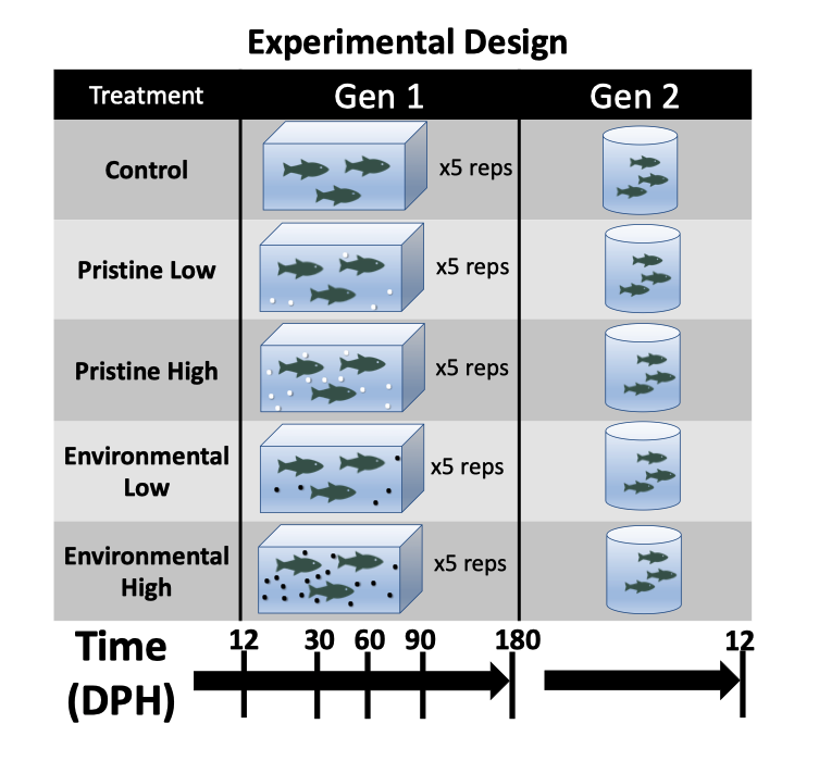 American Genetic Association tweet media